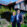 umbaucoach-hanspeter-brunner
